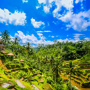 Tegalalang local warungs and restaurants