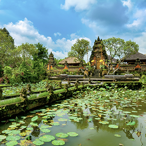 Ubud local warungs and restaurants